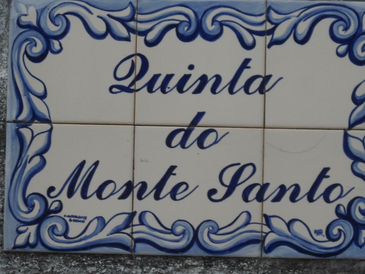 波尔图镇Quinta Do Monte Santo别墅 外观 照片